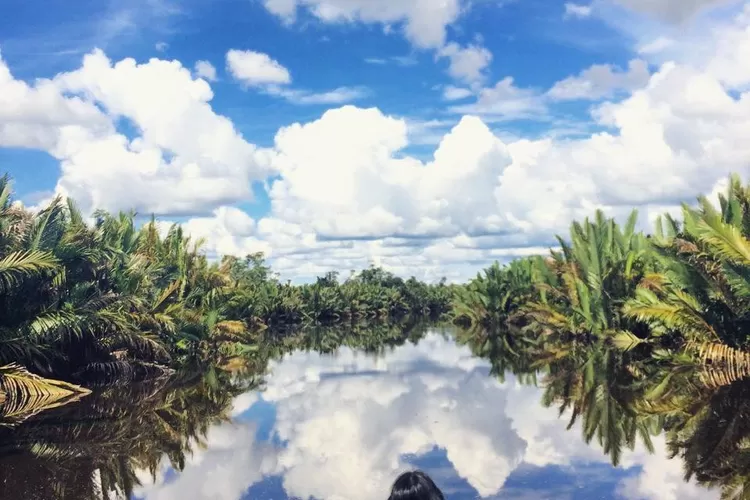 Sensasi mengarungi destinasi wisata Sungai Sekonyer di Kalimantan Tengah (Instagram @crmntj)