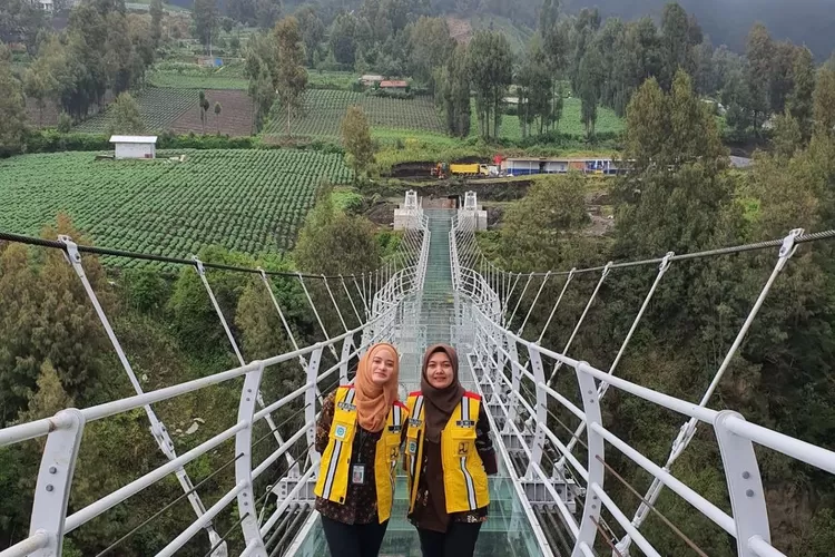 Destinasi wisata Jembatan Kaca Seruni Point di Bromo Jawa Timur (Instagram @sekar_handayani )