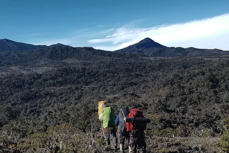 Berpetualang di Taman Nasional Gunung Leuser, rekomendasi jelajah destinasi wisata di Aceh (Instagram @abdul_kholiiq)