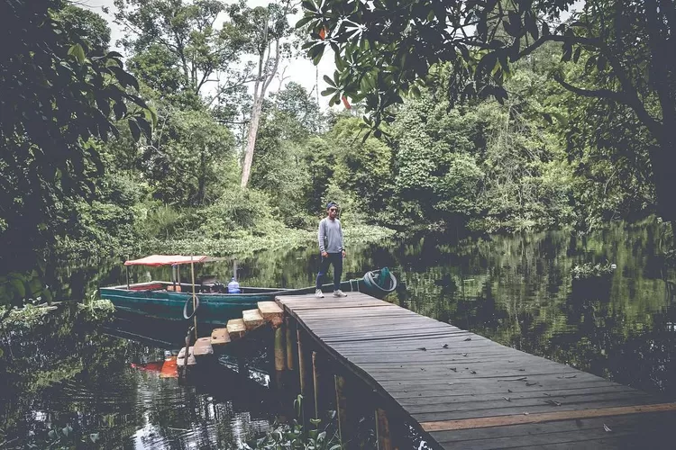 Kawasan konservasi terluas di Asia Tenggara, rekomendasi destinasi wisata Taman Nasiona Berbak di Tanjung Jabung Timur Jambi (Instagram @andrys.aisyah)