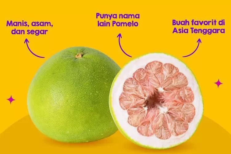 Inilah jeruk bali, salah satu buah favorit di Asia Tenggara yang kaya akan manfaat. (Instagram @grupin_id )