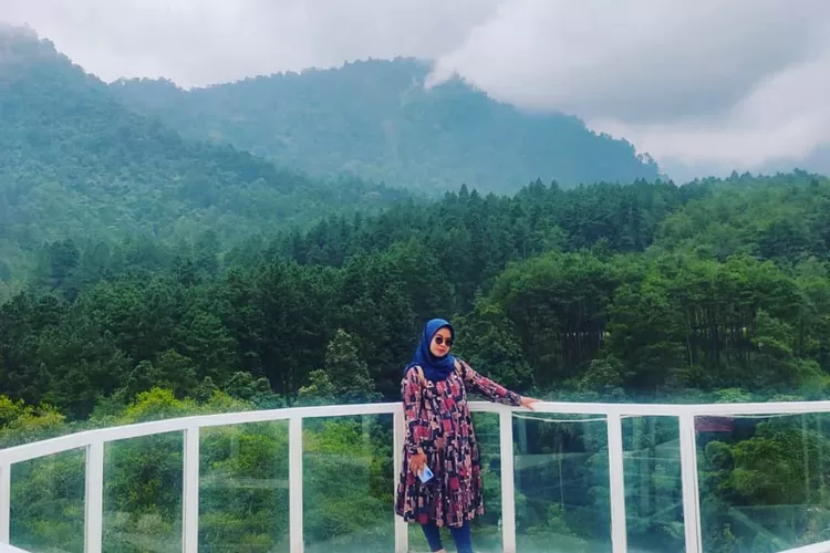 The Baron Hill of Guci, destinasi wisata di Tegal Jawa Tengah (Instagram @fiirdha_nurseha)