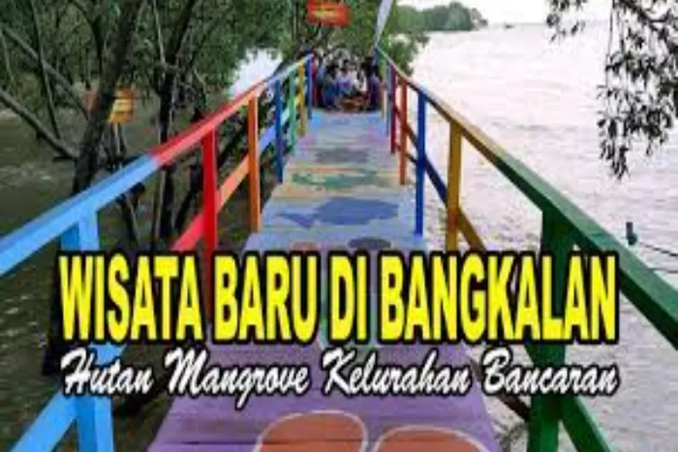 Mangrove Batu Gendong, Hidden Gem di Kabuaoten Bangkalan Madur ( Tangkapan Layar /Youtube Channel Bang Memo)