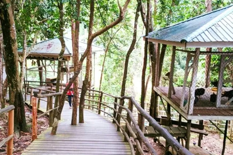 Jalan-jalan menyenangkan di Sinka Zoo, destinasi wisata andalan keluarga di Singkawang (Instagram @travelspromo)