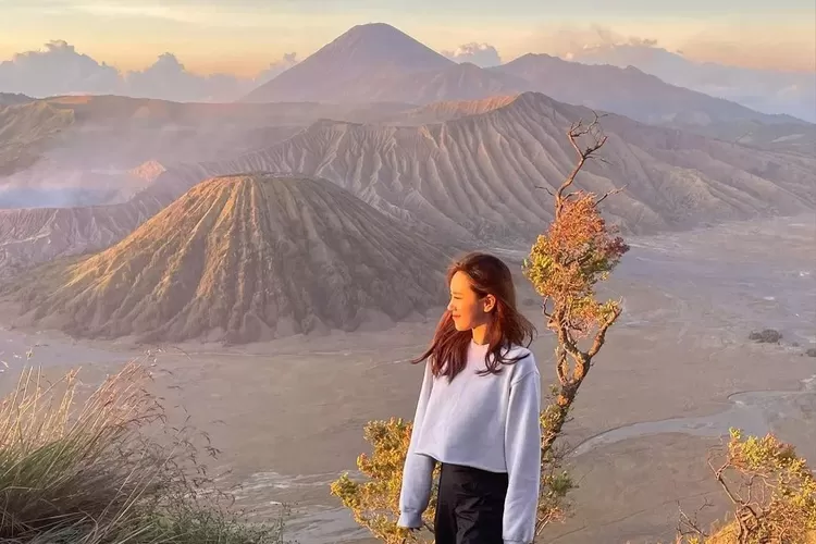 Potret gunung terfavorit pendaki, Gunung Bromo, wisata alam yang ada di Semeru, Jawa Timur (Instagram @infowisatagunungbromo)