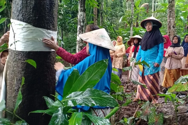 Warga Wadas Gelar Aksi Pasang Stagen di Pohon, Simbol Penolakan Tambang Andesit