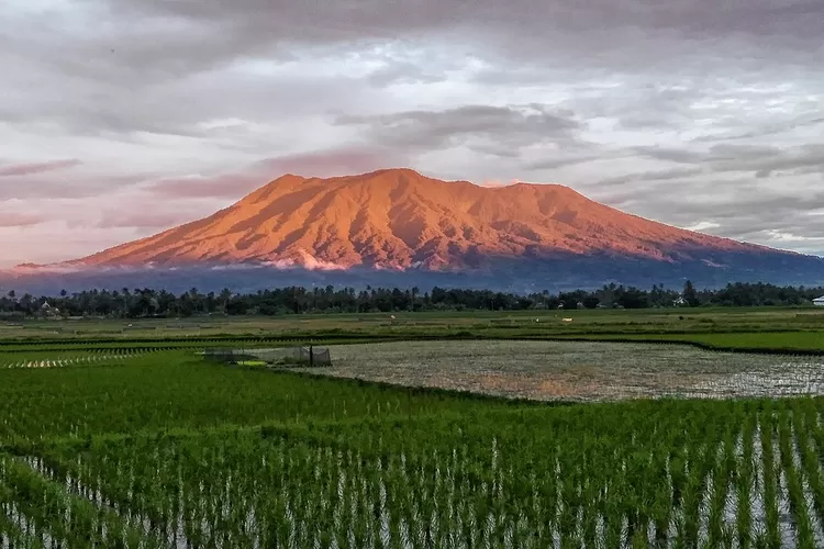 Ilustrasi Gunung Marapi erupsi 7 Januari 2023 (Ist)