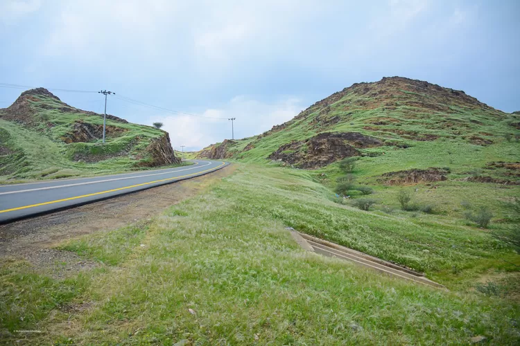 Penyebab Gunung di Mekah Menghijau, Masjid-Masjid di Arab Saudi Lakukan Hal Ini Sebelum Fenomena Terjadi (Twitter.com/ @Mal_hothaly)