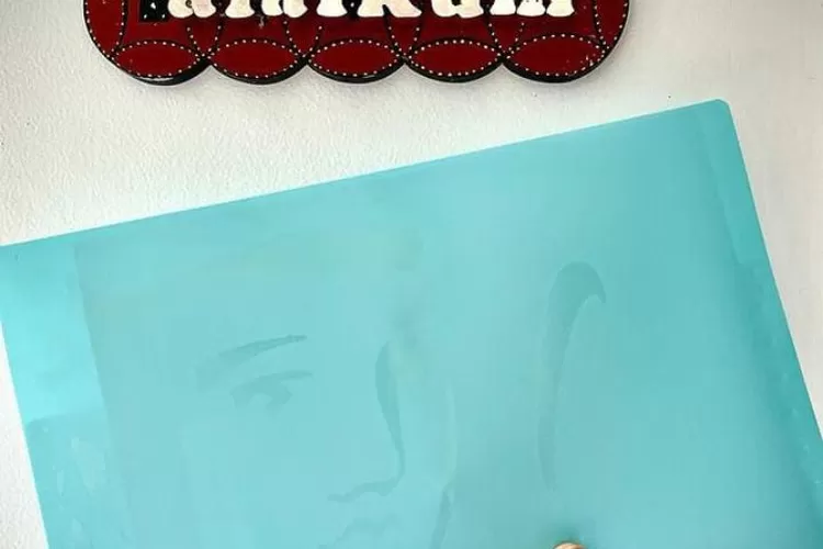 Map perlindungan kesehatan atau asuransi yang diikuti Aldila Jelita