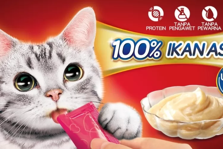 Tips kucing makan lahap dengan teknologi Umami Alami yang dipersenbahkan PT Uni Charm Indonesia Tbk berupa snack  kucing 100 persen ikan asli dengan merek Deli Joy (AG Sofyan )