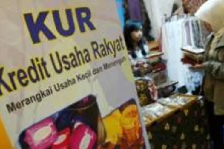 Ini Jenis Jenis Kur Bri Dan Cara Cek Jadwalnya Hanya Perlu Ktp