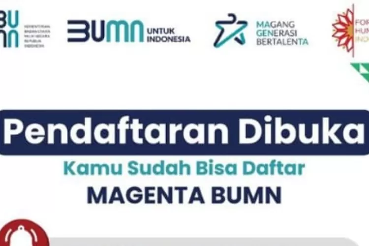 Syarat Program Magang Magenta BUMN Apa Saja? Fresh Graduate Lengkapi Dokumen Ini Untuk Daftar Magang BUMN (Magenta BUMN)
