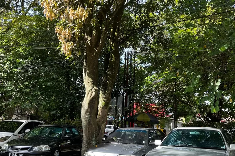 Pameran Mobil JDM Akan Digelar di Bandung (Foto: Gorajuara.com/dok: JDM)