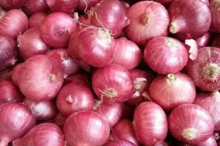 bawang merah