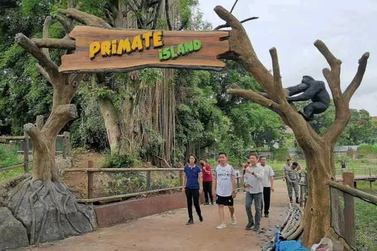 Wali Kota Solo Gibran Rakabuming Raka bersama  manajem Taman Safari Indonesia meninjau Solo Safari (Endang Kusumastuti)