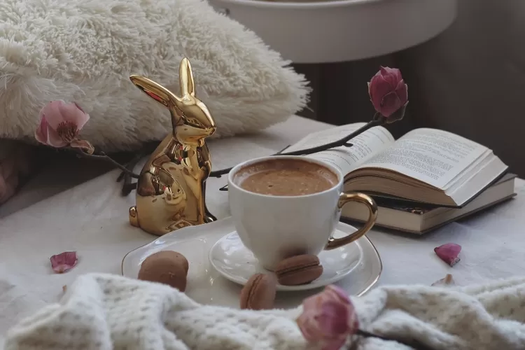 Ilustrasi shio kelinci  (pexels/Ioana Motoc)