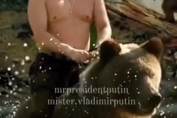 Vladimir Putin Presiden Rusia,   memiliki hobby unik, bercengkerama dan menunggangi beruang hitam besar.  (Instagram/@mrpresidentputin)