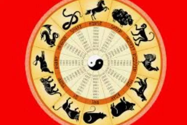 Cek ramalan shio hari ini Rabu 25 Januari 2023, peruntungan shio tikus, kerbau dan macan
