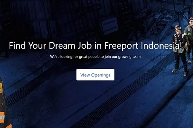 Lowongan Kerja PT Freeport Indonesia Ada 3 Jabatan Dengan Gaji ...