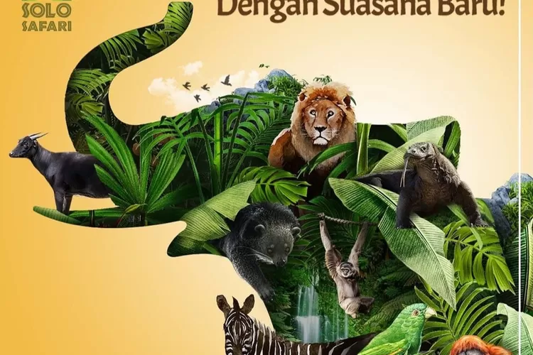 Solo Safari Dibuka Resmi! Berikut Harga Tiket dan Jam Operasionalnya&nbsp;