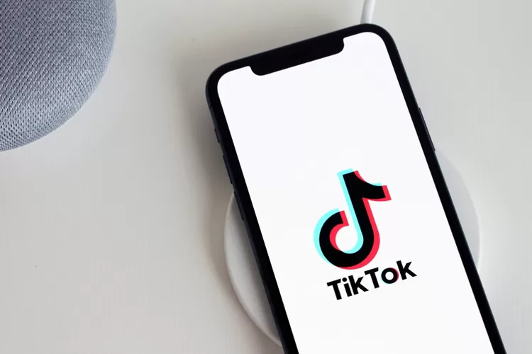 Ilustrasi foto aplikasi tiktok dan cara download video dengan aplikasi snaptik (Pixabay.com/antonbe)