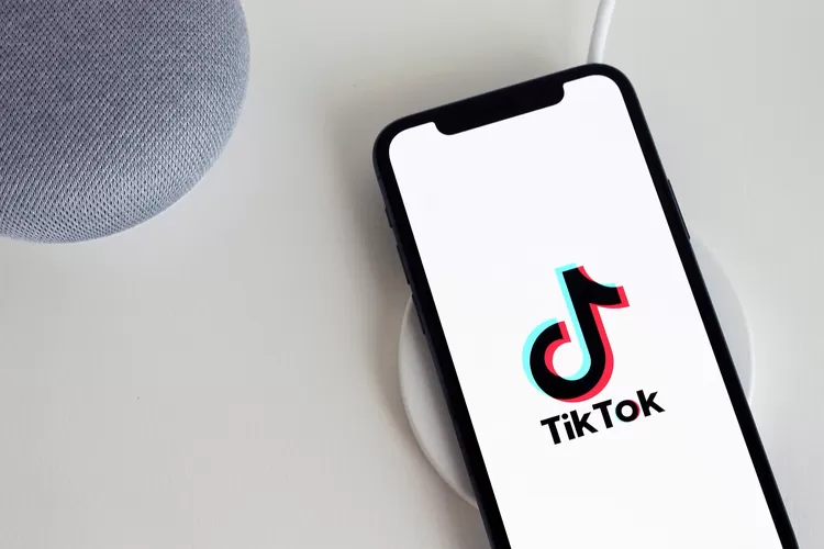 Cara download MP3 lagu TikTok pakai Snaptik