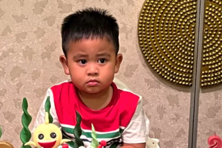 Al Nahyan kembali lakukan aksi kocak bersama prabowo. Foto/Instagram (Foto/Instagram)