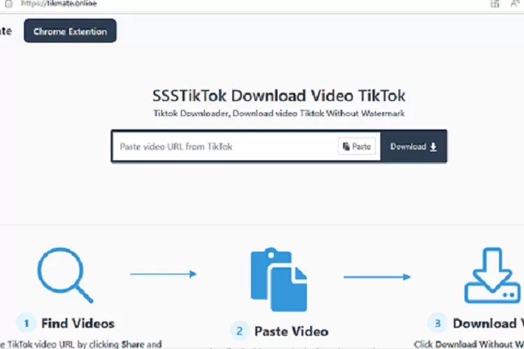 Cara download video TikTok tanpa watermark dengan kualitas HD (Tikmate.online)