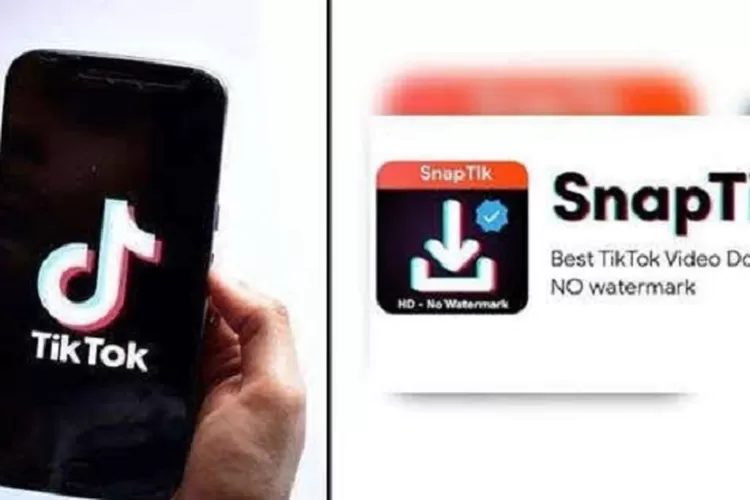 SnapTik, aplikasi yang bisa digunakan untuk download video di TikTok (Ist)