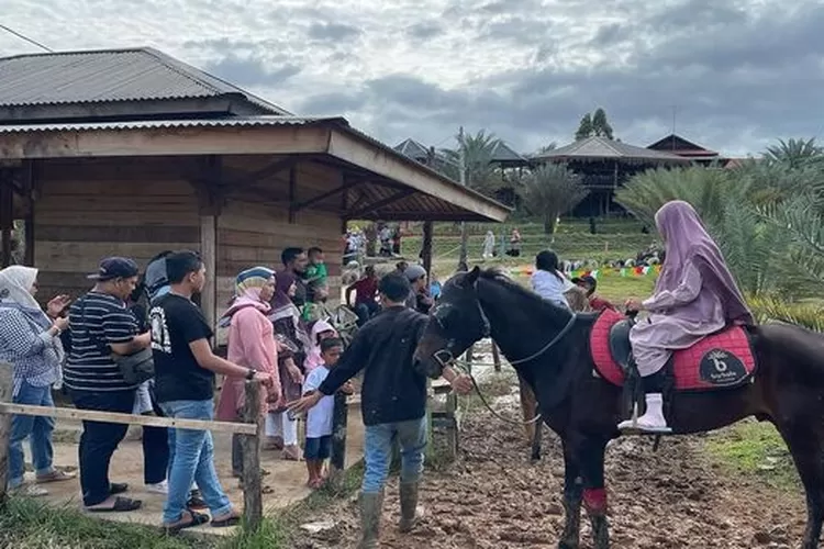 Perkebunan Kurma Barbate, destinasi wisata Aceh yang bisa mengedukasi dan menambah pengetahuan anak-anak (Instagram @kebunkurmabarbatee)