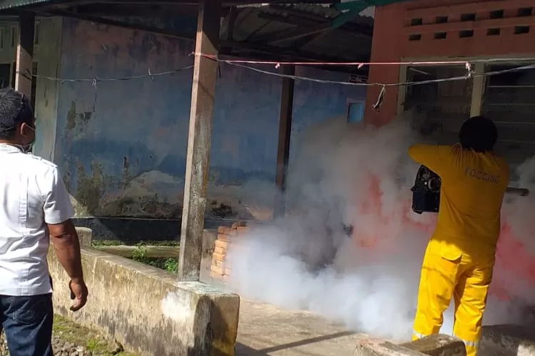 Fogging salah satu untuk memberantas nyamuk dalam mencegah DBD.