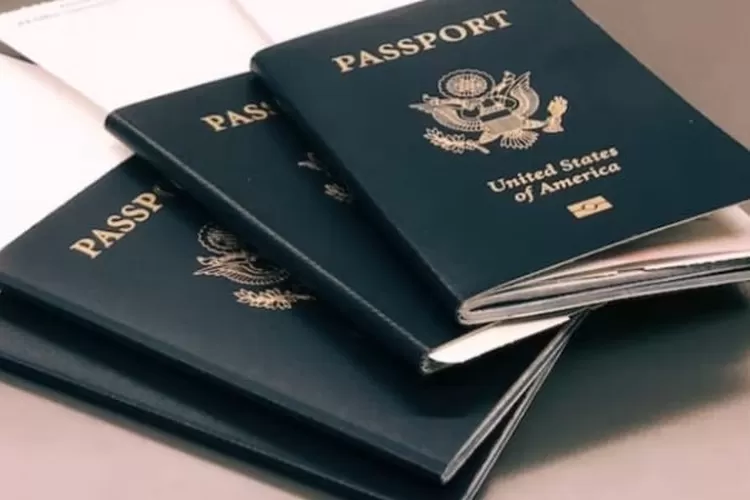 Ilustrasi passport (unsplash.com)