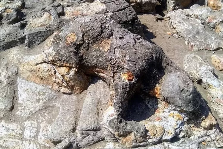 Batu Malin Kundang di Pantai Air Manis Padang (Sari Bundo)