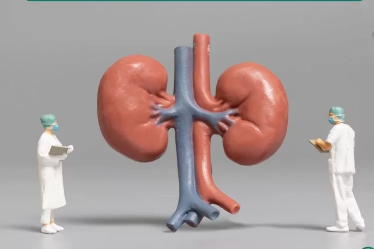 Ini dia cara menjaga kesehatan ginjal (Tangkapan layar instagram @kemenkes_ri)