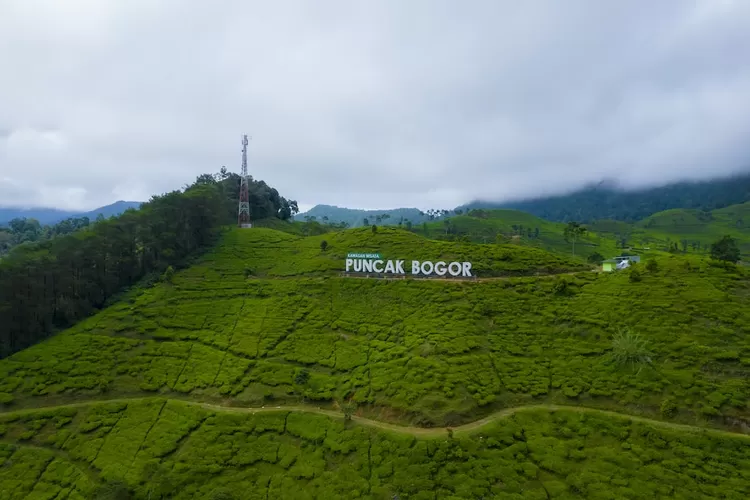 4 Tempat Wisata Di Puncak Bogor Paling Hits, Instagramable, Cocok ...