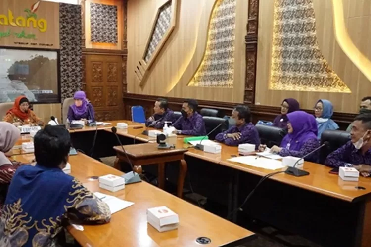 HIMPSI Wilayah Jawa Tengah Cabang Eks Karesidenan Pekalongan audensi dengan Pj Bupati Batang Lani Dwi Rejeki. (dok)