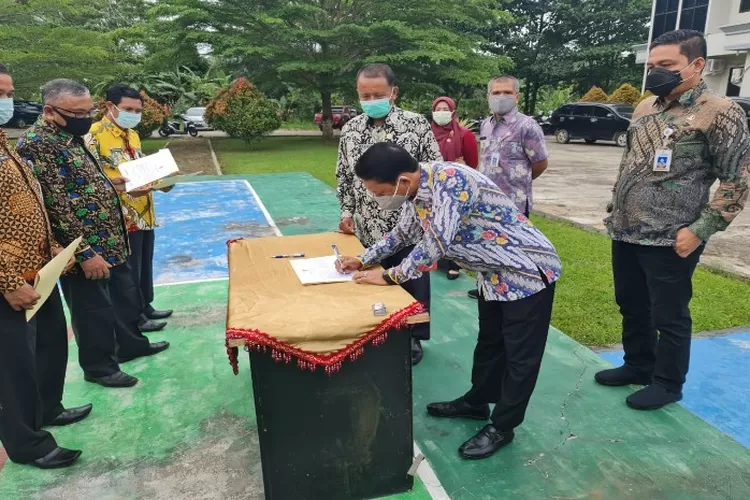 HONORER Bisa Lega, Pemerintah Bantu Honorer Gagal PPPK Kerja Di BUMN ...