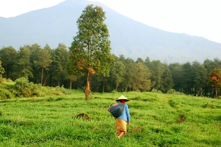 Jawaban Gunung Yang Mageran Ternyata Adalah Ini Simak Jawaban Tebak