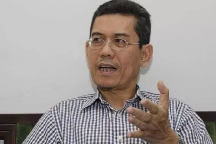 Direktur IRESS Marwan Batubara,