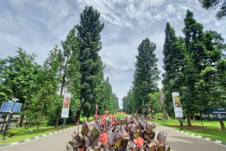 Jalan Astrid Kebun Raya Bogor