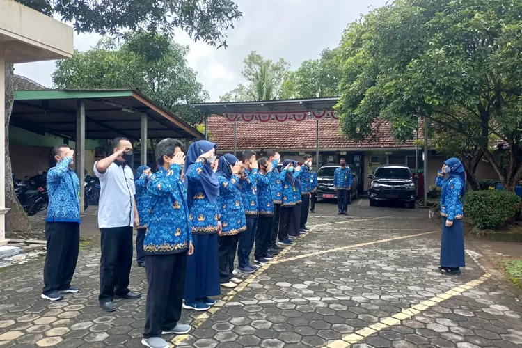 CPNS 2023 Terbuka untuk Lulusan SMA, Ini Daftar Instansi yang Bisa Jadi Pilihan (disnakertrans.kulonprogokab.go.id)