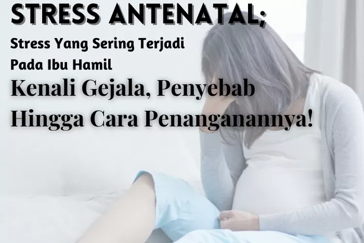 Ibu Hamil Dengan Stres Antenatal Kenali Penyebab Resiko Hingga