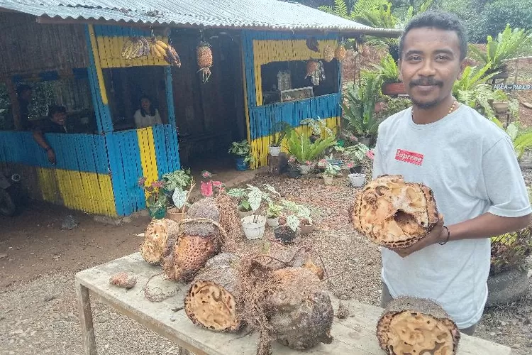 Toni Junisen dengan obat herbal Sarang Semut yang dijualnya Kamis (16/2/2023)