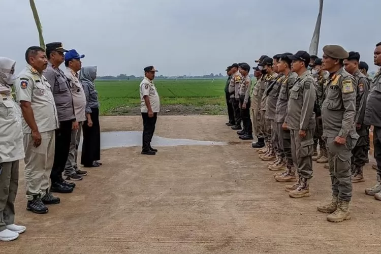 Satpol PP Kabupaten Bekasi  (Newsroom Diskominfosantik)
