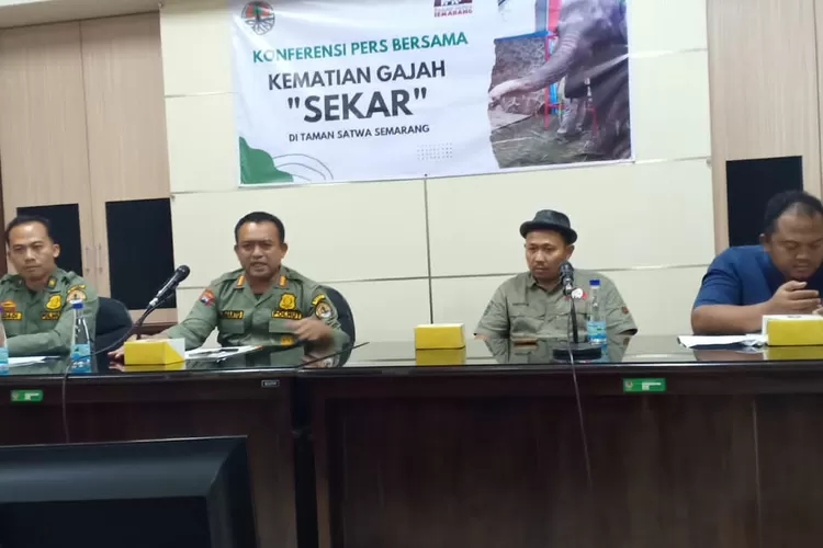 BKSDA saat jumpa pers tentang kematian gajah di Semarang Zoo.  (Ayosemarang.com/ Audrian Firhannusa)