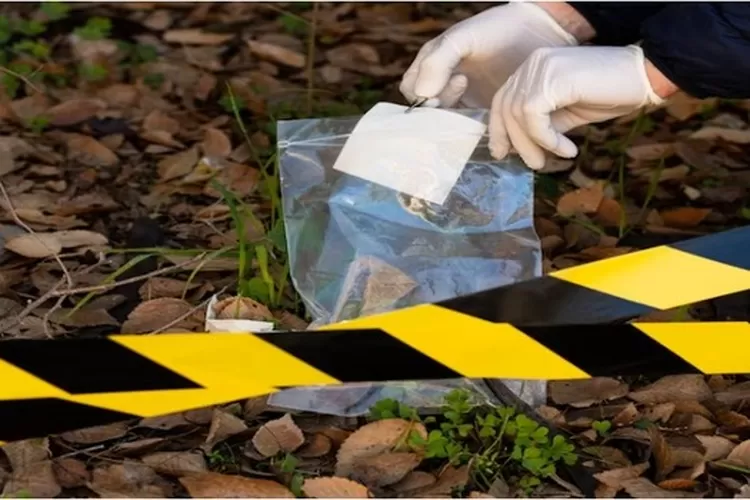 Seorang nenek ditemukan tewas tanpa kepala di Nias Selatan (Freepik)