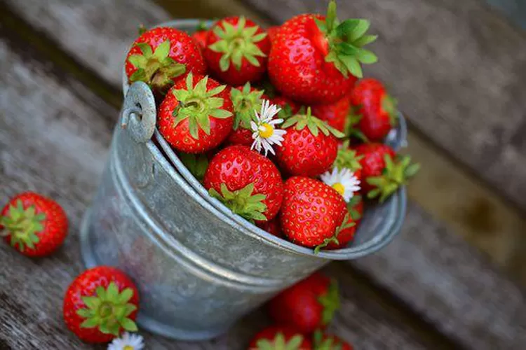 Buah strawberi (pixabay)