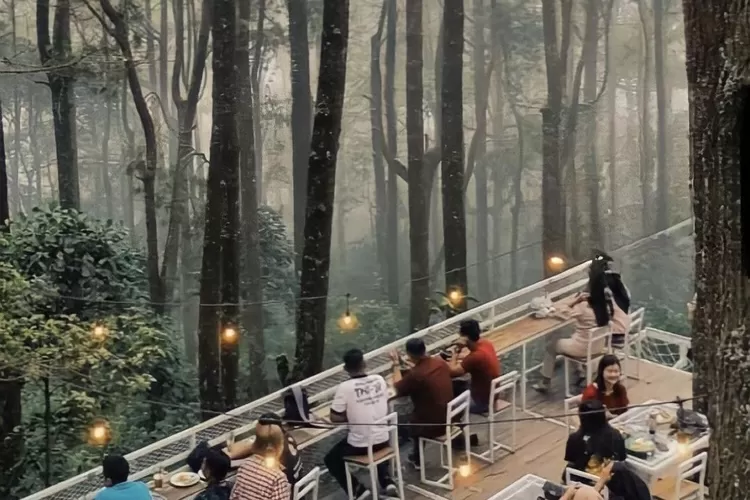 Cafe Pinete Coffee Bistro nyaman banget buat nongkrong. (foto :Instagram @pinete.bistro)