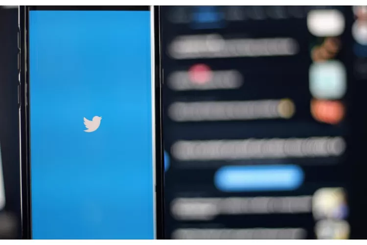 Netizen beri saran lucu kepada para pejabat yang anaknya gemar flexing, imbas kasus Mario Dandy Satriyo dan Rafael Alun Trisambodo (Unsplash/@Joshua Hoehne)