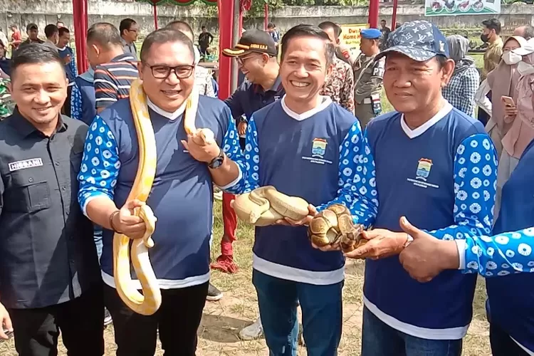 Sekd Palembang Rstu Dewa berfose dangan ular,